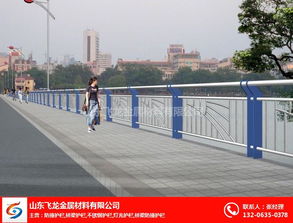 聊城飛龍橋梁護欄公司 鑄就道路安全屏障，匠心打造交通安全設施工程